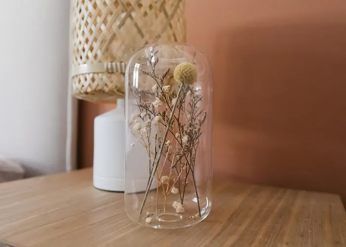 Appartement Le Graphiste ~ Hypercentre ~ Climatisation